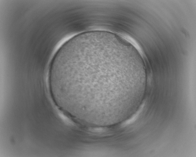 X0000115311149200911231324