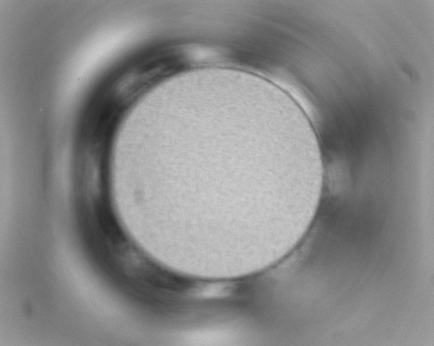 X0000115311150200911231324