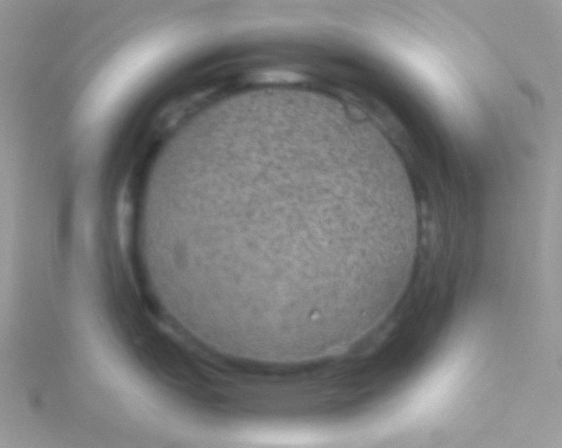 X0000115311151200911231324