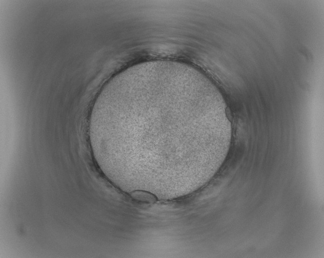 X0000115311153200911231323