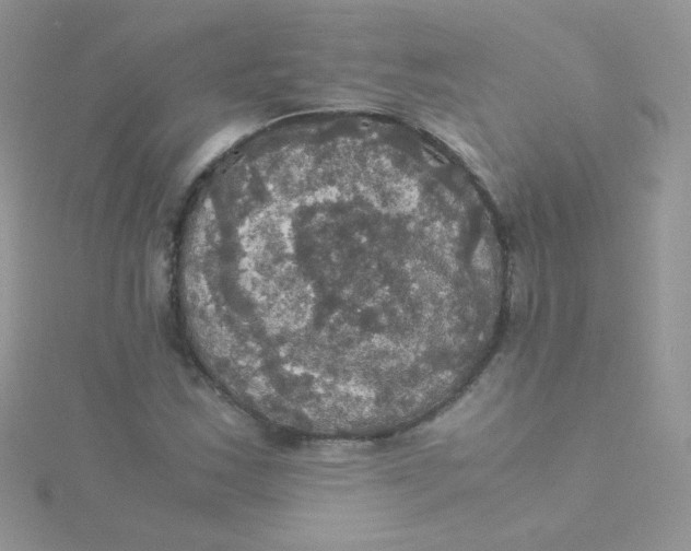 X0000115311163200911231323