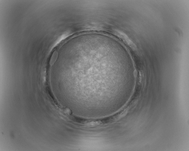 X0000115311165200911231323