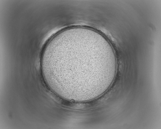 X0000115311167200911231323