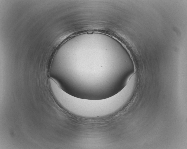 X0000115311169200911231323