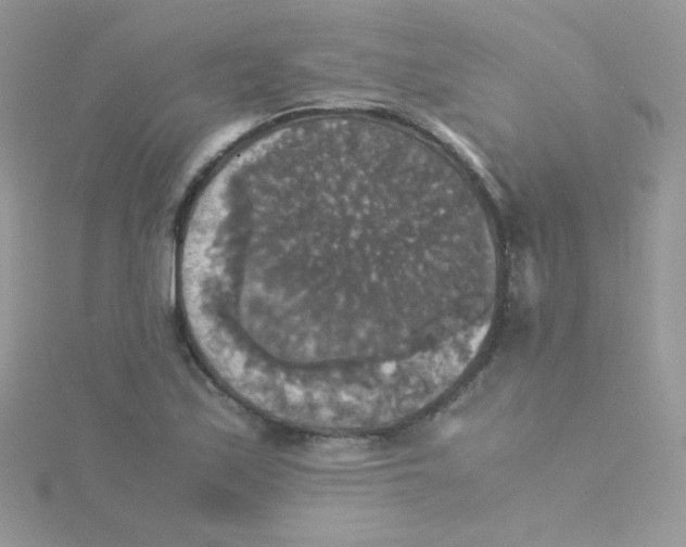 X0000115311171200911231323