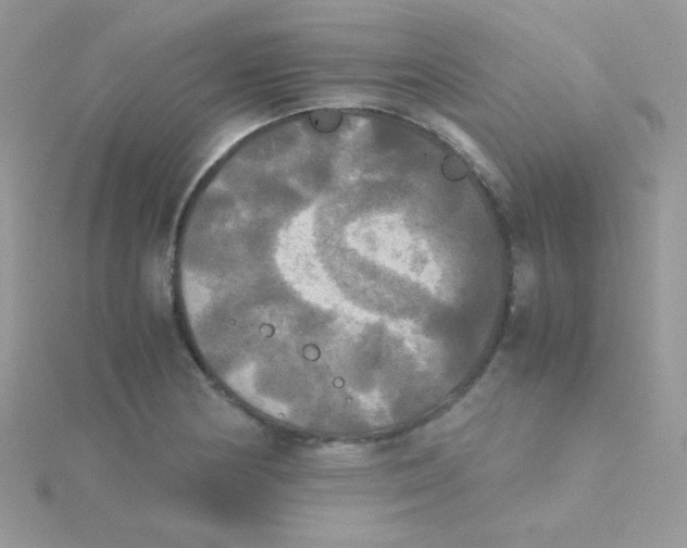 X0000115311178200911231323