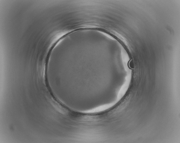 X0000115311179200911231323