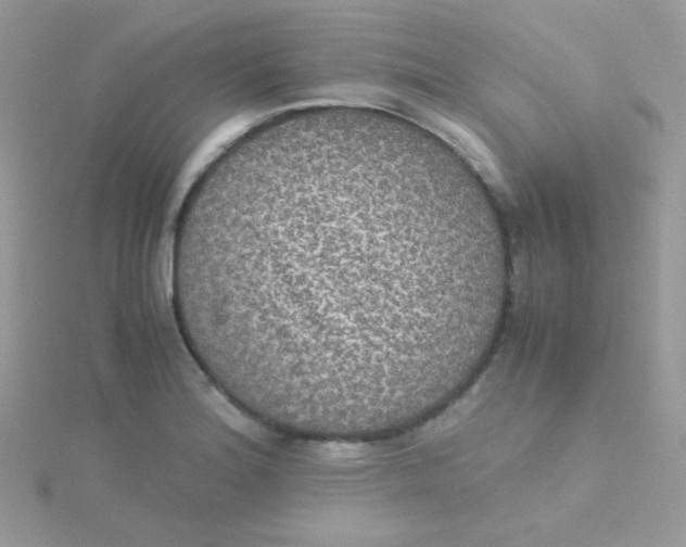 X0000115311180200911231323