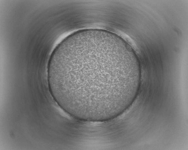 X0000115311184200911231323