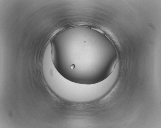 X0000115311185200911231323