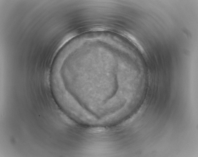 X0000115311186200911231323