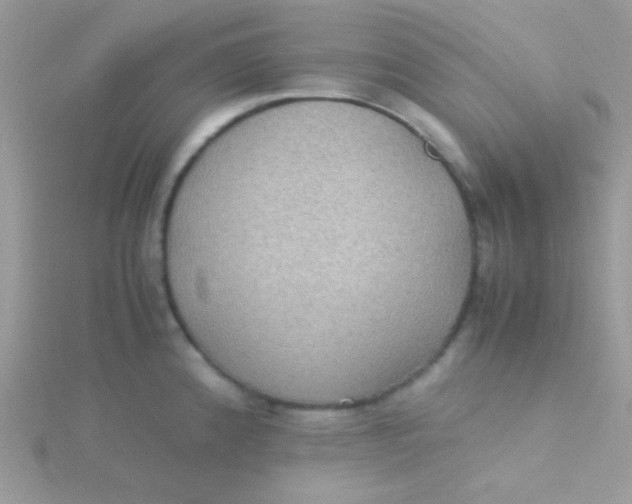 X0000115311192200911231323