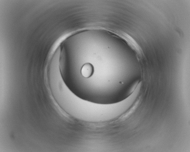 X0000115311196200911231323