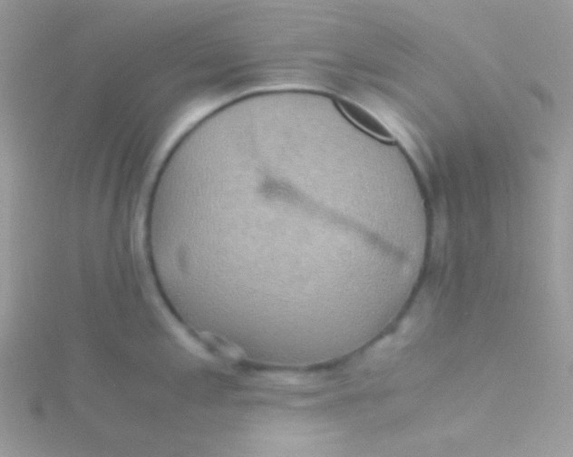 X0000115311197200911231323