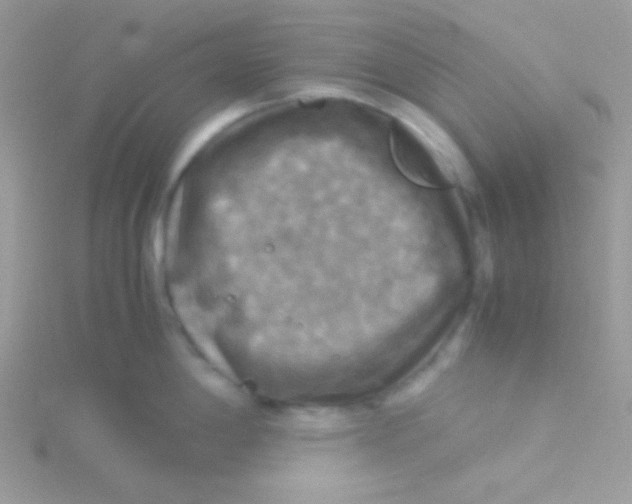 X0000115311198200911231323