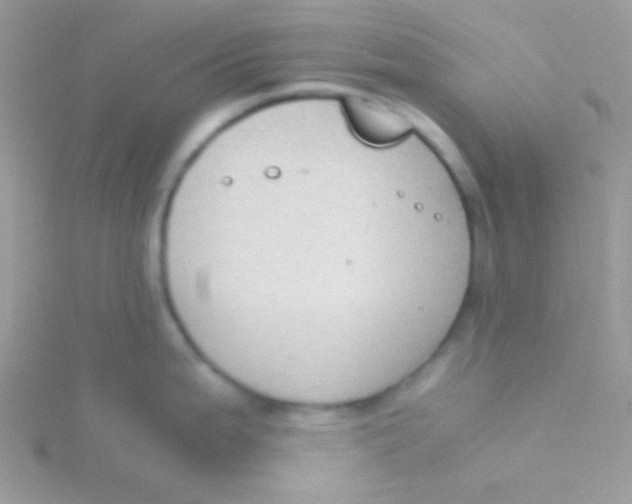 X0000115311199200911231323