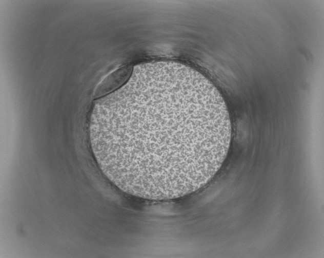 X0000115311201200911231322