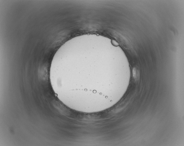 X0000115311203200911231322