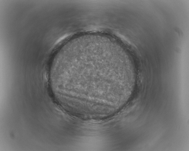 X0000115311206200911231322