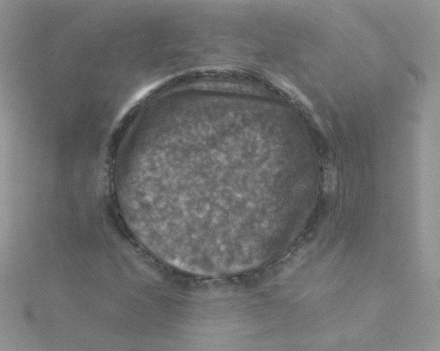 X0000115311208200911231322