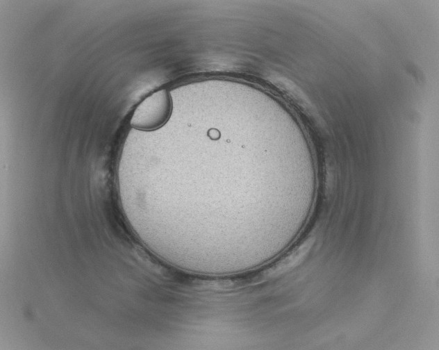 X0000115311210200911231322