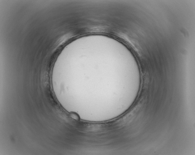 X0000115311211200911231322