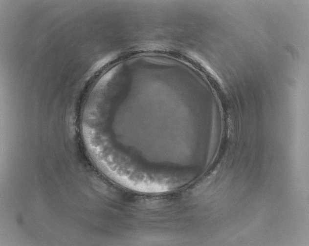 X0000115311213200911231322