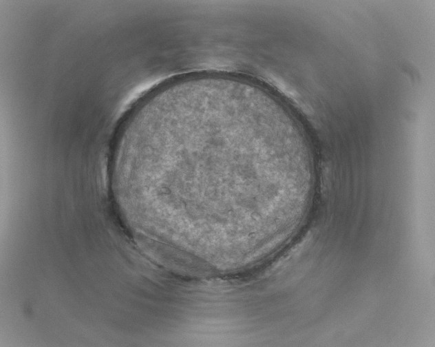 X0000115311214200911231322