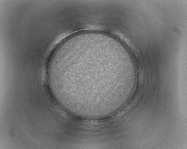 X0000115311215200911231322