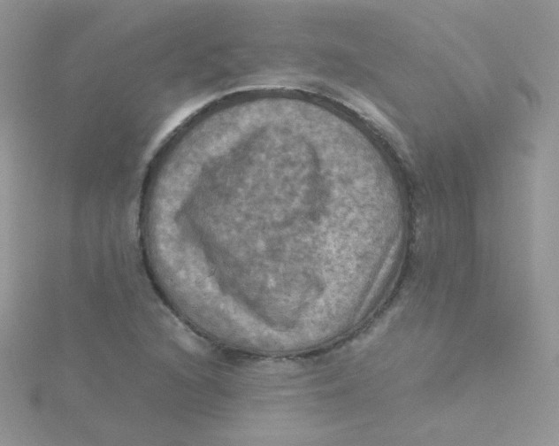 X0000115311216200911231322