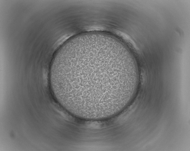 X0000115311217200911231322