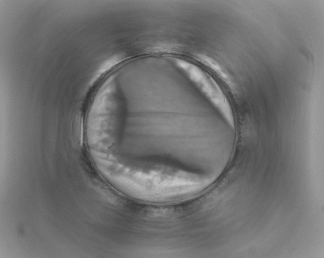 X0000115311219200911231322