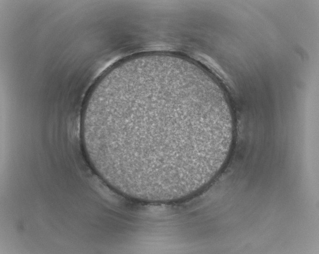 X0000115311220200911231322