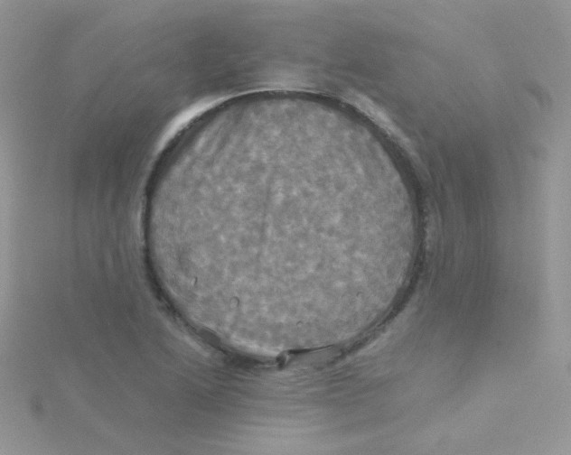 X0000115311222200911231322