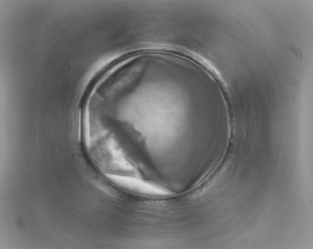 X0000115311223200911231322