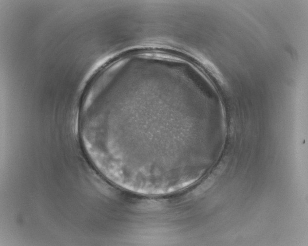 X0000115311224200911231322