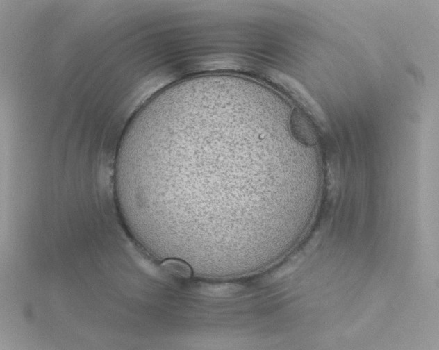 X0000115311225200911231322