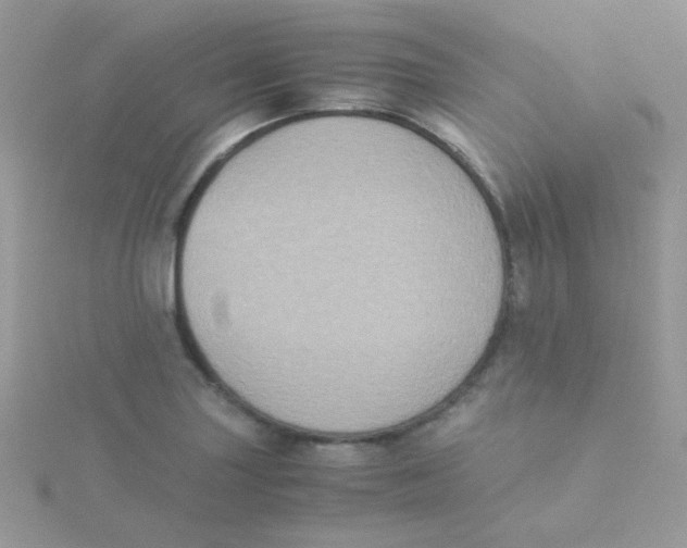 X0000115311227200911231322