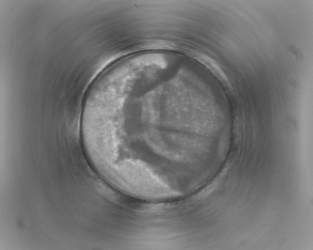 X0000115311228200911231322