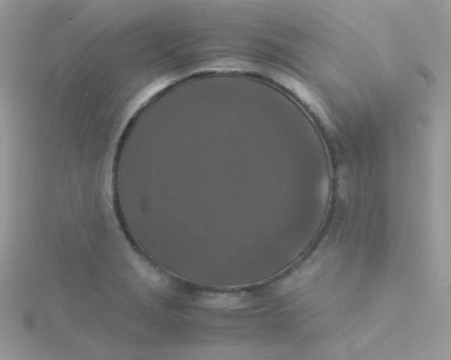 X0000115311229200911231322