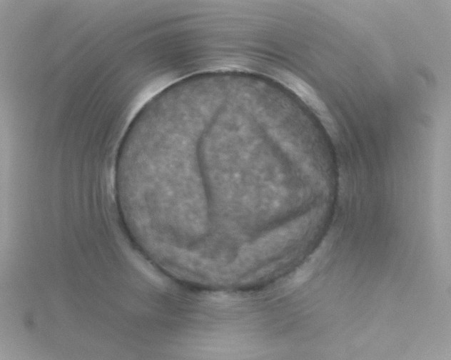 X0000115311234200911231323