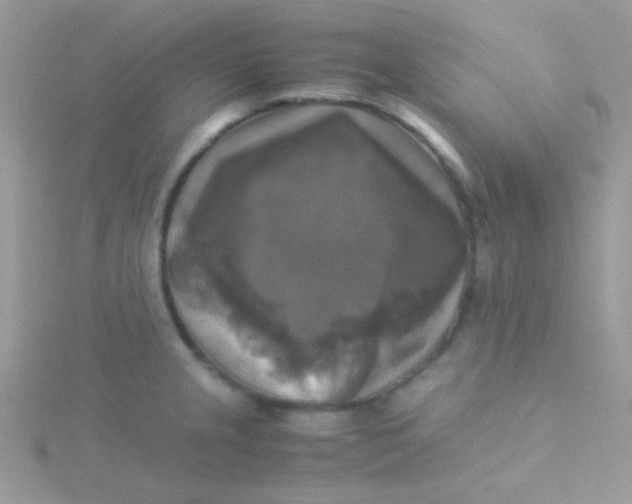 X0000115311237200911231323