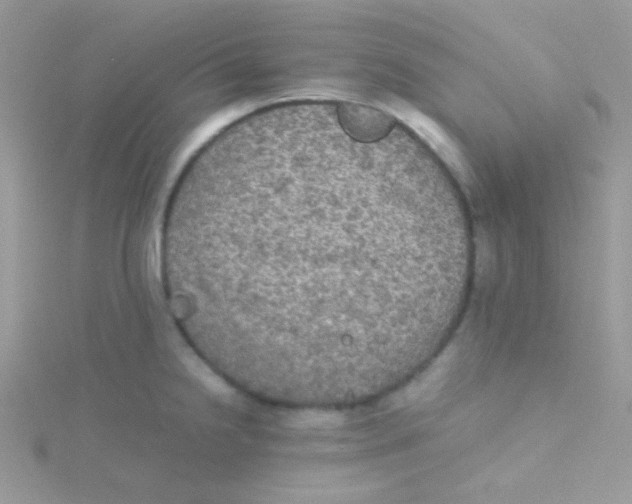 X0000115311238200911231323