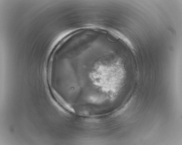 X0000115311239200911231323