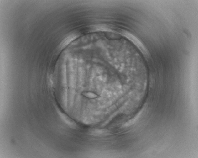 X0000115311241200911231323