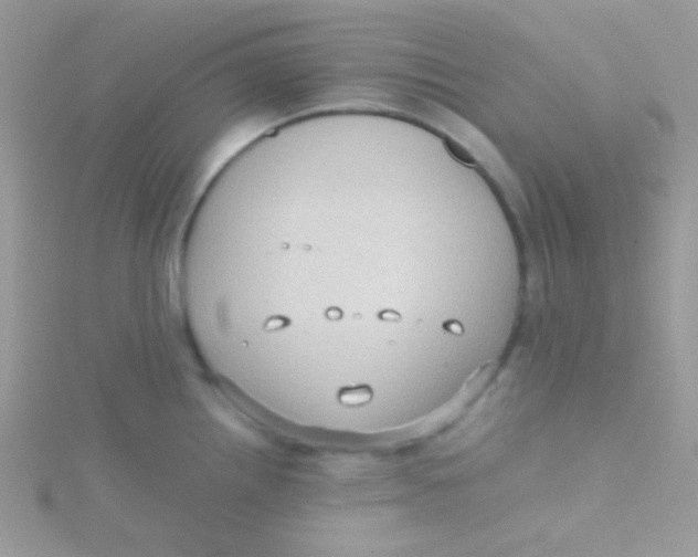 X0000115311242200911231323