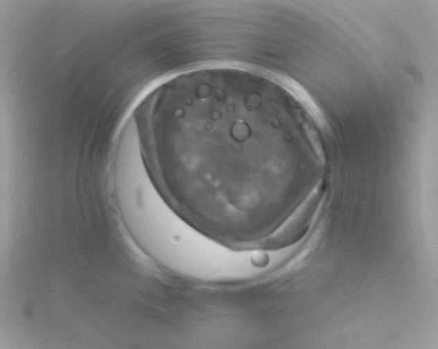 X0000115311244200911231323