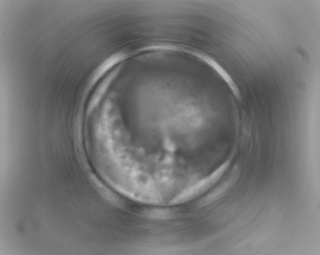 X0000115311245200911231323