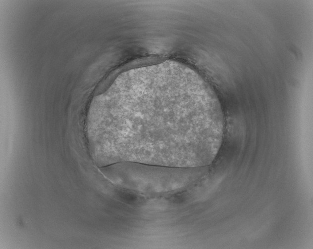 X0000115311249200911231322