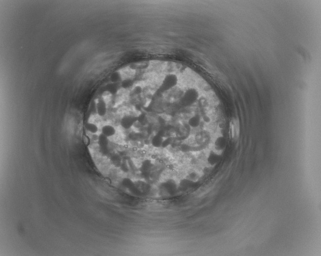 X0000115311251200911231322